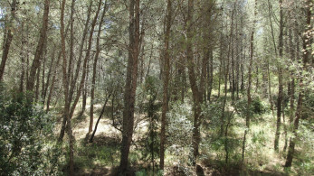 ΣΠΑΥ και «Ίδρυμα Γεώργιος Μ. Μίχαλος» ξεκινούν τα Διανησιωτικά Δίκτυα Μονοπατιών