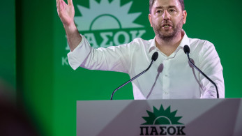 Αίμα και άμμος στο ΠΑΣΟΚ - Οι δελφίνοι καρπαζώνουν αλύπητα τον Ανδρουλάκη