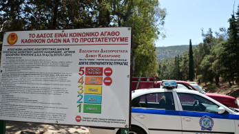 Εμπρησμοί: δύο συλλήψεις για πρόκληση πυρκαγιών σε Ηλεία και Αττική