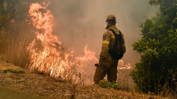 Παραμένουν ενεργά μέτωπα στην Ηλεία - Σε ύφεση οι φωτιές σε Μεγαλόπολη και Κρανίδι
