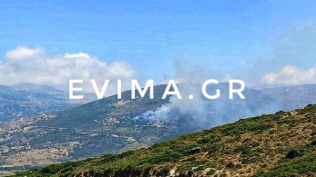 Φωτιά Κάρυστος: Και καναντέρ στη μάχη – Πρόβλημα οι ισχυροί άνεμοι