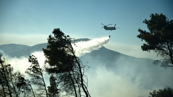 Πάνω από 50 δασικές πυρκαγιές σε ένα 24ωρο - Δύο πυροσβέστες τραυματίες στη Χίο - Πρόστιμα και συλλήψεις
