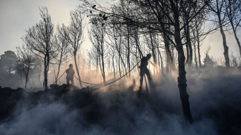 Συναγερμός και την Παρασκευή: κίνδυνος πυρκαγιάς σε αρκετές Περιφέρειες