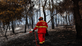 Υπό μερικό έλεγχο η πυρκαγιά στο Καναλάκι Πρέβεζας - Καίγεται φορτηγό στην Εγνατία