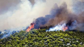 Πυροσβεστική: μάχες σε δεκάδες μέτωπα- Δύσκολη η φωτιά στην Εύβοια