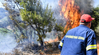 Πυρκαγιές: δύο νέα μέτωπα σε Αρκαδία και Ελασσόνα