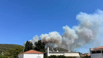 Μεγάλη φωτιά στην Εύβοια- Καίει κοντά σε σπίτια