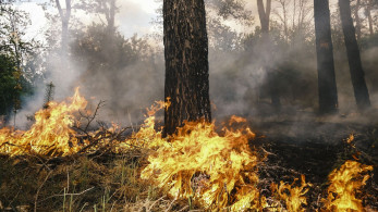 Φλέγεται η Σιβηρία: 31 δασικές πυρκαγιές - Απομακρύνονται παιδιά από κατασκηνώσεις