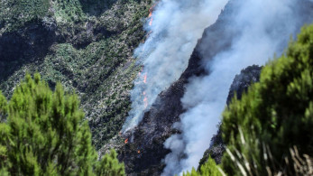 Μαίνεται η φωτιά στη Μαδέρα - Πυροσβεστικά αεροσκάφη από την ΕΕ ζήτησε η Πορτογαλία