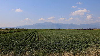 Πληρωμές 32,34 εκατ. για αγροτικές ενισχύσεις - Ξεκίνησαν οι καταβολές για τα Σχέδια Βελτίωσης