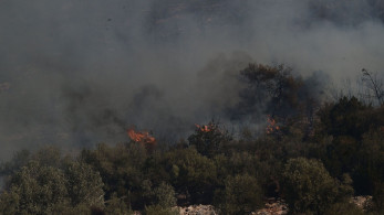 Σε πύρινο κλοιό η Αττική: σε Γραμματικό, Πεντέλη και Ανατολή Νέας Μάκρης τα κύρια μέτωπα