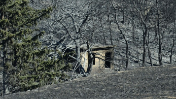 Ετήσια οδυνηρή ρουτίνα