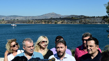 Γκρίνια στο ΠΑΣΟΚ για τα «φάουλ» του Ανδρουλάκη στο θέμα των πυρκαγιών