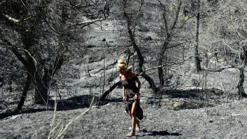 Τα τελευταία οκτώ χρόνια έχει καεί το 37% των δασών της Αττικής σύμφωνα με το meteo