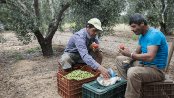 ΥΠΑΑΤ: Στο 98% η απορρόφηση πόρων στο Πρόγραμμα Αγροτικής Ανάπτυξης