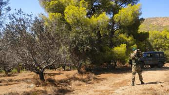 Επί ποδός οι Ένοπλες Δυνάμεις για τη δασοπροστασία