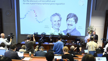 Νόμπελ Ιατρικής για την ανακάλυψη του microRNA