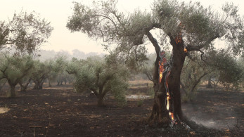 Τα τέσσερα μέτρα για τη στήριξη και την ανάπτυξη του Έβρου