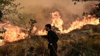 Φωτιά στην Ηλεία - Συναγερμός στην Πυροσβεστική