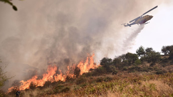 Κλιμάκια του ΕΛΓΑ στην πυρόπληκτη Κορινθία για αποτίμηση των ζημιών