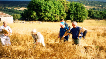 Νέο φιάσκο ΟΠΕΚΕΠΕ: στέλνει «ραβασάκια» σε 196.000 αγρότες για επιστροφή επιδοτήσεων