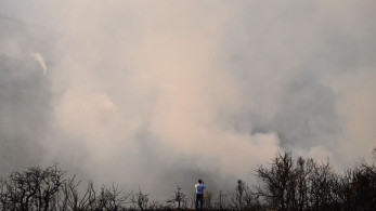 Φωτιά στην Καστοριά - Στη μάχη της κατάσβεσης επίγειες και εναέριες δυνάμεις