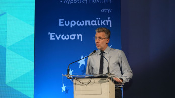 Άκης Σκέρτσος: Συμπερίληψη της περιφέρειας στην αντιμετώπιση οικονομικών και δημογραφικών ανισοτήτων