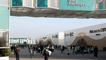Φαίη Σελίμη: Η COP των χρηματοδοτήσεων
