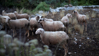 Εξισωτική αποζημίωση: στα 255,1 εκατ. ευρώ η δαπάνη
