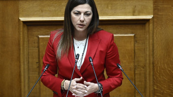 Ζαχαράκη για δημογραφικό: 20 δισ. ευρώ σε ορίζοντα δεκαετίας