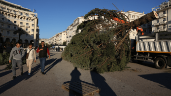 Θεσσαλονίκη: ανακυκλώνονται 6.000 χριστουγεννιάτικα δέντρα