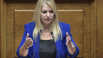 Άννα Μάνη: 200.000 στρέμματα θα ενταχθούν στην αντιχαλαζική προστασία από αέρος