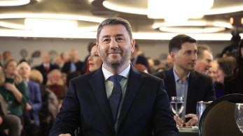 Ο Ανδρουλάκης ετοιμάζεται για… μπρα ντε φερ με τους δελφίνους