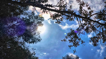 Ζέστη, αφρικανική σκόνη και ομίχλη - Η πρόγωνση Μαρουσάκη για τις επόμενες μέρες