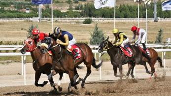 Markopoulo Park: Δέκα καθαρόαιμοι ίπποι διεκδικούν το Κύπελλο Ηνιόχου