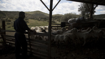 ΥΠΑΑΤ: Νέα εποχή διαφάνειας και αναδιοργάνωσης στον ΟΠΕΚΕΠΕ