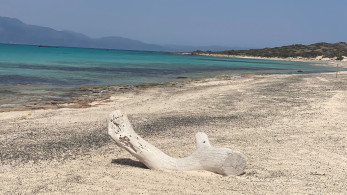 Πώς το νησί Χρυσή στην Κρήτη έγινε ιδιόκτητο επιδοτούμενο βοσκοτόπι, μέσω ΟΠΕΚΕΠΕ