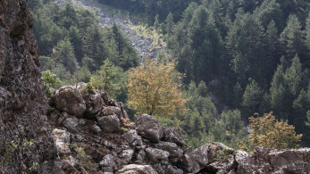 Χαλκιδική: τραγική κατάληξη στην αναζήτηση 75χρονου - Βρέθηκε νεκρός σε χαράδρα