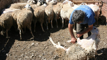 ΟΠΕΚΕΠΕ: ο βρυχηθμός των… νταβατζήδων, το ΟΣΔΕ, τα ΚΥΔ και η ευφυής γεωργία