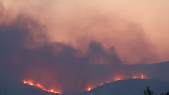 Φωτιά στην Καβάλα: δρόμοι έκλεισαν, απειλούνται κατοικημένες περιοχές - Τιτάνια η προσπάθεια της πυροσβεστικής (video)