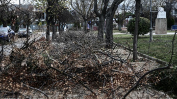 Θεσσαλονίκη: κόπηκε το ρεύμα στη Χαριλάου από πτώση κλαδιού σε καλώδιο ΔΕΗ - Τρεις τραυματίες