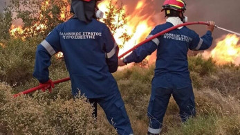 Εύβοια: φωτιά στον Άγιο Αθανάσιο