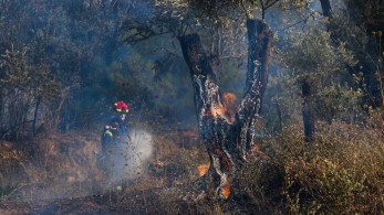 Μαίνεται για τρίτη μέρα η φωτιά στη Χίο – Μάχη με τις φλόγες από γη και αέρα