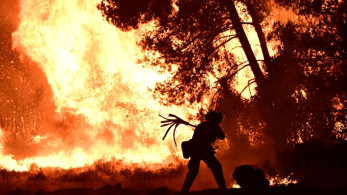 Φωτιά στον Ωρωπό: συνελήφθη 72χρονος για εμπρησμό από αμέλεια