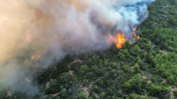 Νέα εστία φωτιάς κοντά στη Σμύρνη ενισχύεται από σφοδρούς ανέμους