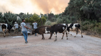 Κόλαση από τις δασικές πυρκαγιές στην Τουρκία – Εκκενώσεις, τραυματισμοί και τεράστια κινητοποίηση