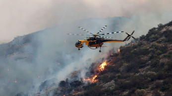 Φωτιά στα Πετράλωνα Μεσσηνίας - Εκκενώθηκε με μήνυμα 112 το χωριό, ενισχύθηκαν οι δυνάμεις (video)