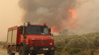 Φωτιά σε δάσος της Κεφαλονιάς - Ειδοποίηση 112 για εκκένωση τριών χωριών