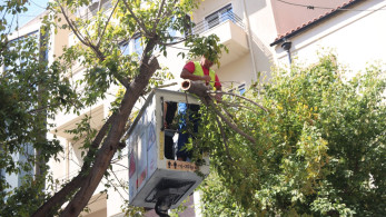 Ξύλο εν ώρα εργασίας στη Θεσσαλονίκη - δημοτικός υπάλληλος θύμα επίθεσης