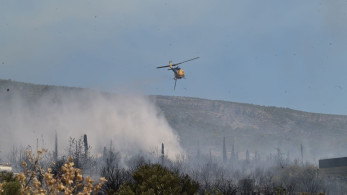 Από μελίσσια η φωτιά στην Πολυτεχνειούπολη - Πρόστιμα σε μελισσοκόμους και τον πρύτανη του ΕΚΠΑ